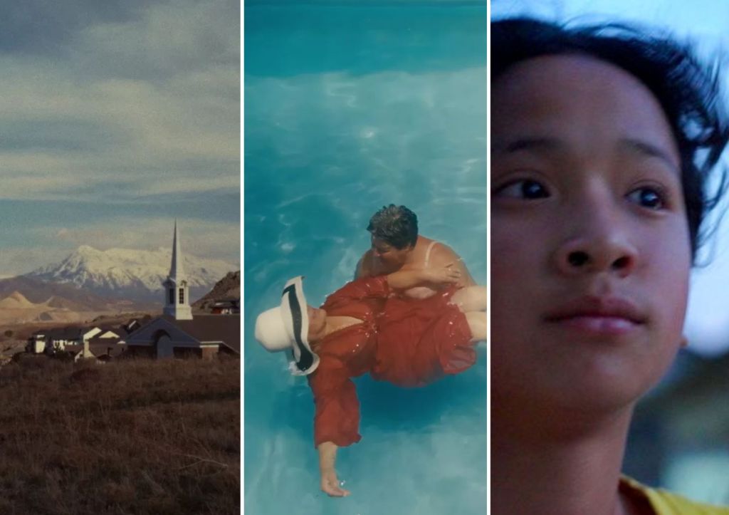 Indox Adds Two Visions Du Réel Titles To Slate