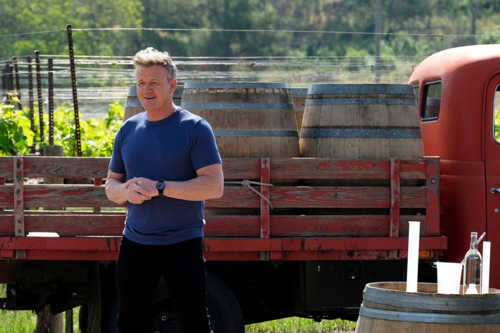 Gordon Ramsay Is An Undercover Chef In New Fox Series ‘Secret Service’