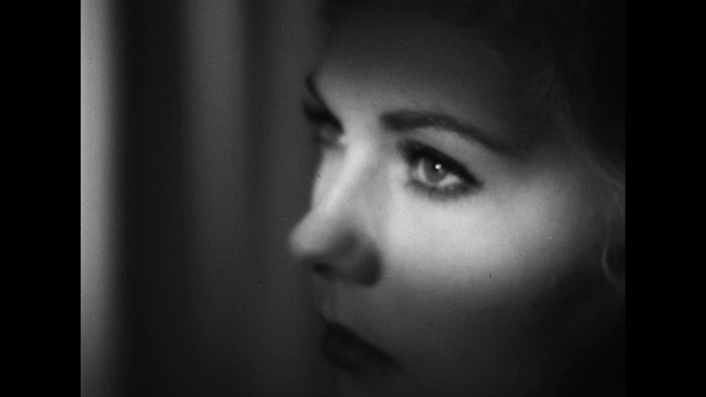 Fall In Love With The Vertigo Star All Over Again