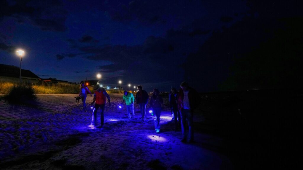 Along Germany’s Baltic coast, people scrutinize the beach for shiny amber