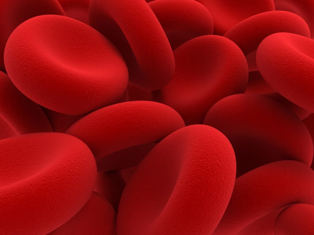 Miraqules shows off blood clotting technology at TechCrunch Disrupt 2025