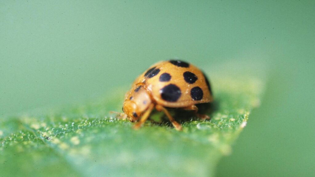 Gardening can lead to accidents just as scary as Halloween