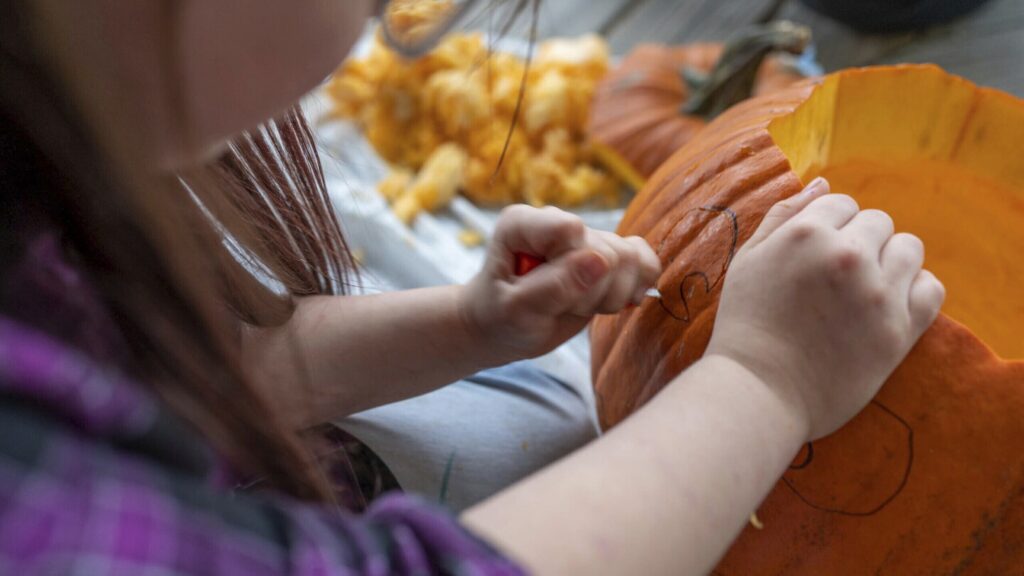 Halloween pumpkins can be used for baking, composting and animal feed