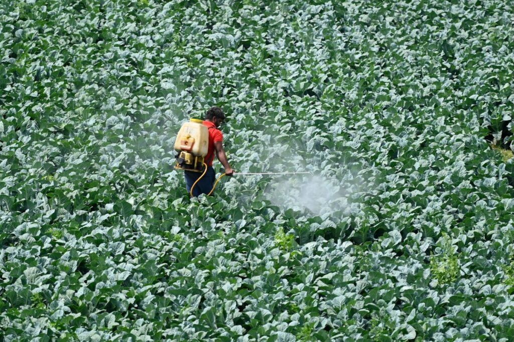 Teenage founder raises $6 million to reinvent pesticides using AI, convinces Paul Graham to join