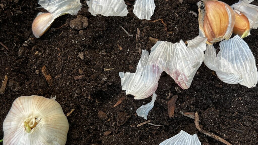 Get started on fall gardening now for a stress-free spring.